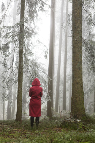 Österreich, Frau allein im Wald stehend, lizenzfreies Stockfoto