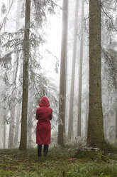 Austria, woman standing alone in the wood - WWF003786
