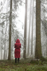 Österreich, Frau allein im Wald stehend - WWF003786