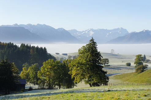 Deutschland, Oberbayern, Pfaffenwinkel, bei Aidling, Blick auf die Zugspitze am Morgen - LBF001041