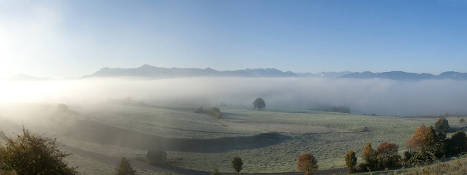 Deutschland, Oberbayern, Pfaffenwinkel, Herbstnebel bei Aidling, Panorama - LBF001043