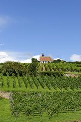 Germany, Bad Duerkheim, vineyard with chapel on Michaelsberg - LB001047