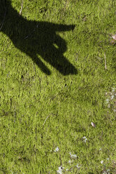 Schatten einer Kinderhand auf Moos, die einen Hund zeigt - JBF000240