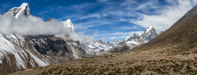 Nepal, Khumbu, Everest-Region, Dughla, Yaks mit Lasten, Lobuche-Gipfel, Arakam-Tse-Gipfel, Cholatse-Gipfel - ALRF000015