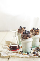 Hausgemachtes glutenfreies Nussgranola, Blaubeeren, griechischer Joghurt und Ahornsirup - SBDF001618