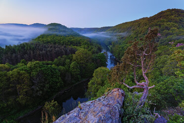 Österreich, Oberösterreich, Waldviertel, Nationalpark Thayatal, Blick auf die Thaya - GFF000565