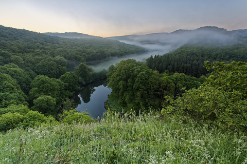 Österreich, Oberösterreich, Waldviertel, Nationalpark Thayatal, Blick auf die Thaya, lizenzfreies Stockfoto