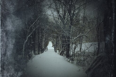 Deutschland, Wuppertal, Weg im Winterwald - DWIF000428