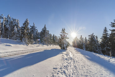 Germany, Saxony-Anhalt, Harz National Park, hiking trail in winter, against the sun - PVCF000269