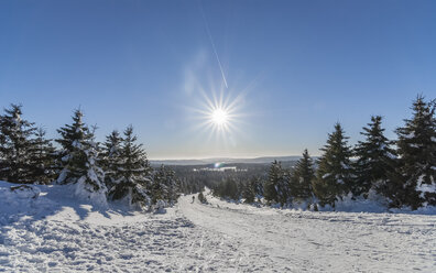 Germany, Saxony-Anhalt, Harz National Park, hiking trail in winter, against the sun - PVCF000270