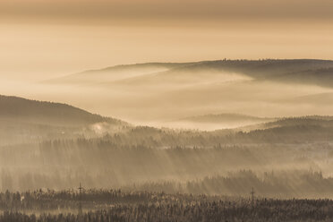 Deutschland, Sachsen-Anhalt, Nationalpark Harz, Sonnenstrahlen bei Sonnenuntergang im Winter - PVCF000264