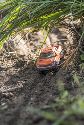 Kleines rotes Offroad-Spielzeugauto in der Natur - DEGF000118