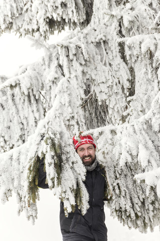 Deutschland, Baden-Württemberg, Waldshut-Tiengen, lächelnder Mann in schneebedeckter Tanne, lizenzfreies Stockfoto