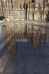 Deutschland, Köln, Kölner Dom spiegelt sich in einer Pfütze - WIF001385