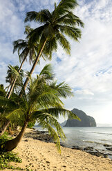 Philippines, Palawan, El Nido, Las Cabanas beach, palm beach - GEMF000039