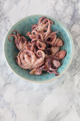 Bowl of pickled squids on marble - SARF001364