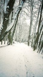 Germany, Landshut, winter landscape - SARF001330