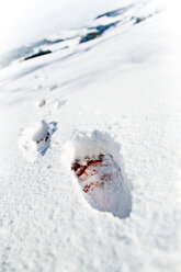 Blutverschmierte Fußabdrücke im Schnee - MID000069