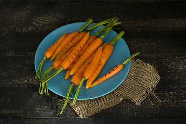 Grilled carrots - MAEF009711