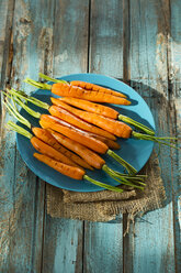 Grilled carrots - MAEF009712