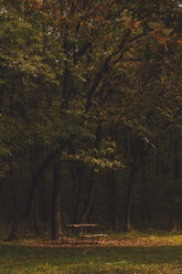 Bulgaria, Sofia, West Park, bench and table covered with autumn leaves - BZF000039