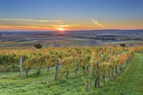 Österreich, Burgenland, Bezirk Oberpullendorf, bei Neckenmarkt, Weinberge bei Sonnenaufgang im Herbst, Blick über Deutschkreutz, Blaufraenkischland, lizenzfreies Stockfoto