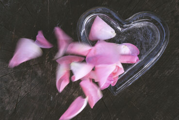 Rose leaves falling in heart shape on wood - DEGF000124