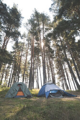 Bulgarien, zwei Zelte auf einer Wiese im Gegenlicht - DEGF000243