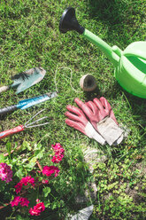 Gardening tools on a meadow - DEGF000253