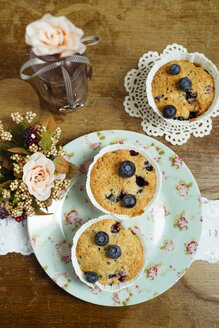 Cup cakes with blueberries - MYF000882