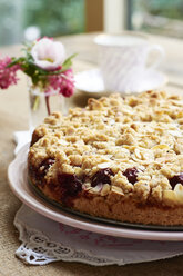 Chocolate chip cherry cake with an almond streusel topping on cake plate - HAWF000633