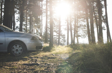 Auto im Wald - DEGF000297