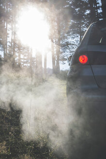 Car in the woods with smoke from exhaust - DEGF000294