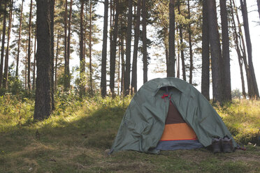 Bulgarien, grünes Zelt in einem Wald - DEGF000302