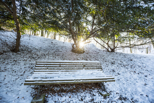 Germany, Bavaria, Landshut, Hofgarten in winter - SARF001343