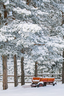 Bulgaria, red wooden trailer standing under snow-covered pines - BZF000043