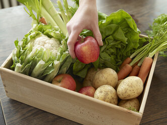 Hand taking crate with fresh fruit and vegetables - RHF000540