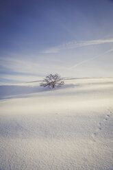 Deutschland, Baden-Württemberg, Schwäbische Alb, Baum in verschneiter Landschaft - LVF002831