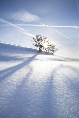 Germany, Baden-Wurttemberg, Swabian Mountains, Tree in snow covered landscape stock photo