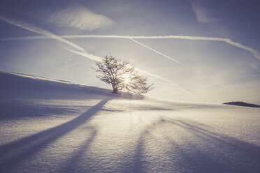 Germany, Baden-Wurttemberg, Swabian Mountains, Tree in snow covered landscape - LVF002833