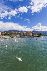 Switzerland, Vevey, Lake Geneva, townscape with swan - WDF002919