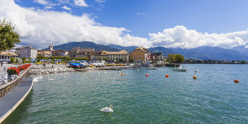 Schweiz, Vevey, Genfersee, Stadtbild mit Schwan - WDF002920