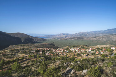 Griechenland, Mittelgriechenland, Olivenbäume in Delphi - DEGF000162