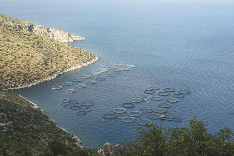 Griechenland, Peloponnes, Blick auf eine Fischzucht von oben, lizenzfreies Stockfoto