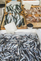 Griechenland, Athen, Frischer Fisch auf dem Markt in Piräus - DEGF000178