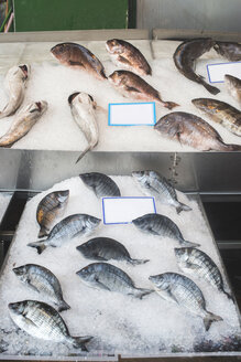 Griechenland, Athen, Frischer Fisch auf dem Markt in Piräus - DEGF000182