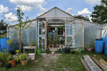 Gewächshaus mit Tomatenpflanzen - TCF004564