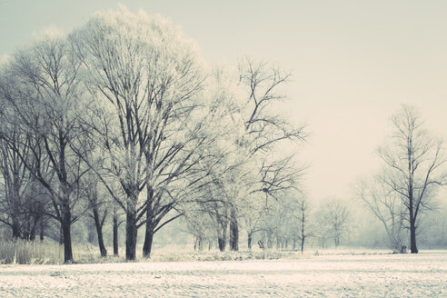 Germany, Bavaria, Landshut, Flutmulde, flood channel in winter - SARF001346