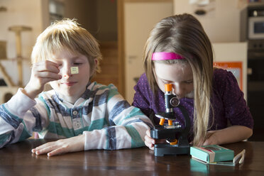 Bruder und Schwester mit Mikroskop zu Hause - SARF001356