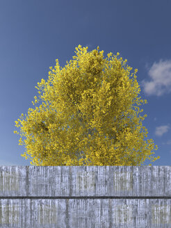 Kleiner Blattkalk hinter Betonwand, 3D Rendering - UWF000371